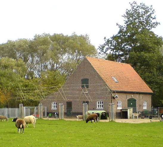 Properties in Haagse Hout  Netherlands